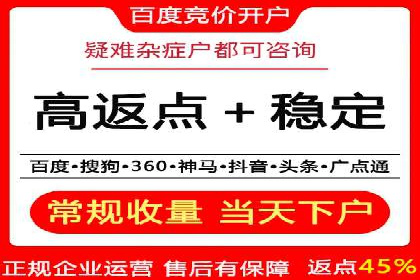 竞价广告的投放时机与频次选择——基于案例的探讨